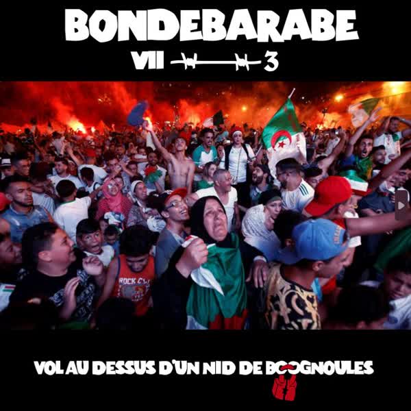 3 - Vol au dessus d'un nid de bougnoules cover